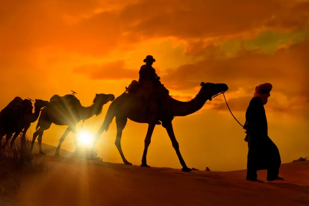 Morocco Private Driver Airport Transfers