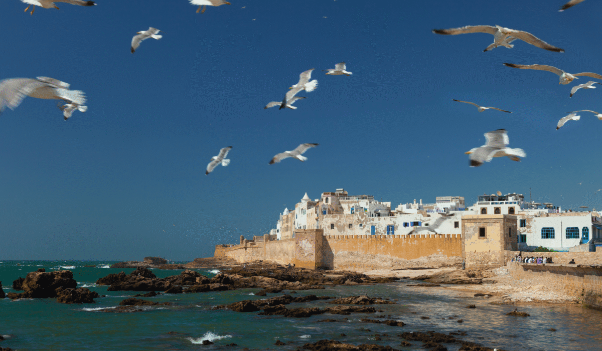 Marrakech to Essaouira day trip