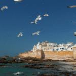 Marrakech to Essaouira day trip