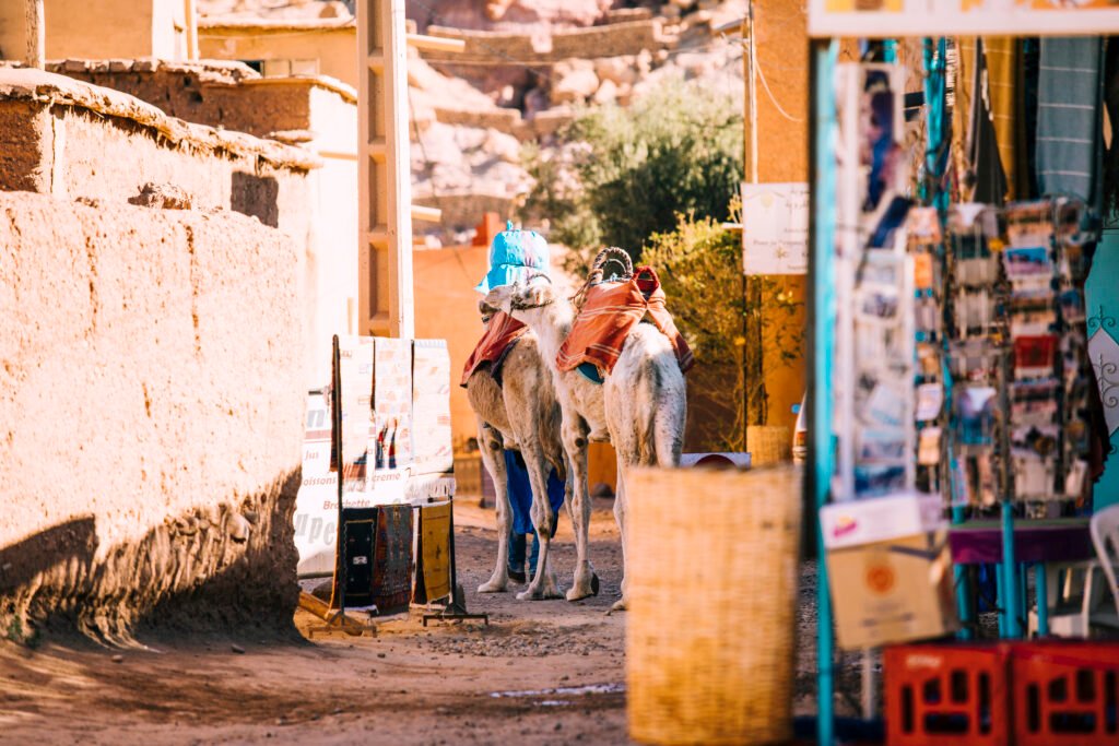 Morocco Private Transport luxury fleet for private driver Marrakech day trips ready at hotel pickup